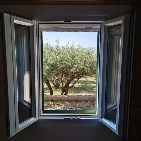 Holiday home Oliva *