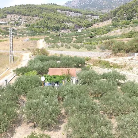 Oliva Holiday home