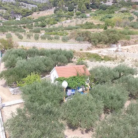 Oliva Holiday home
